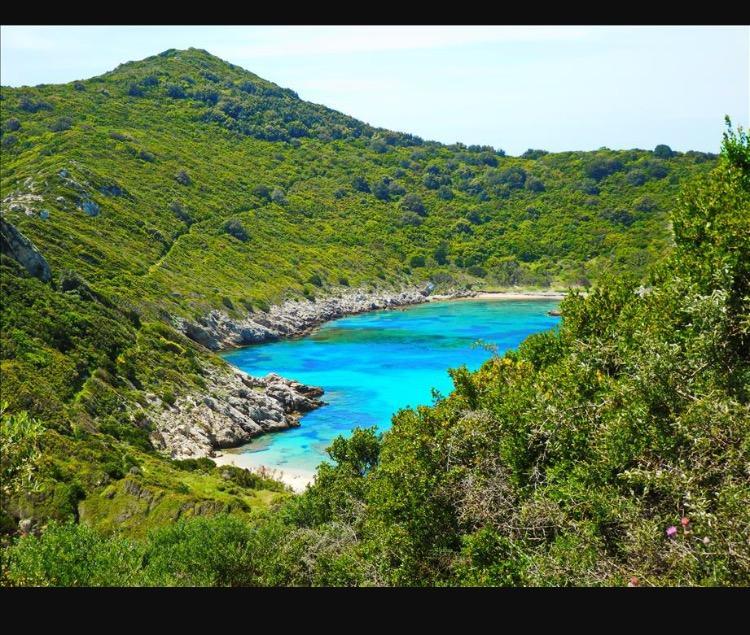 Ninos Corfu Villas Agios Georgios  Dış mekan fotoğraf